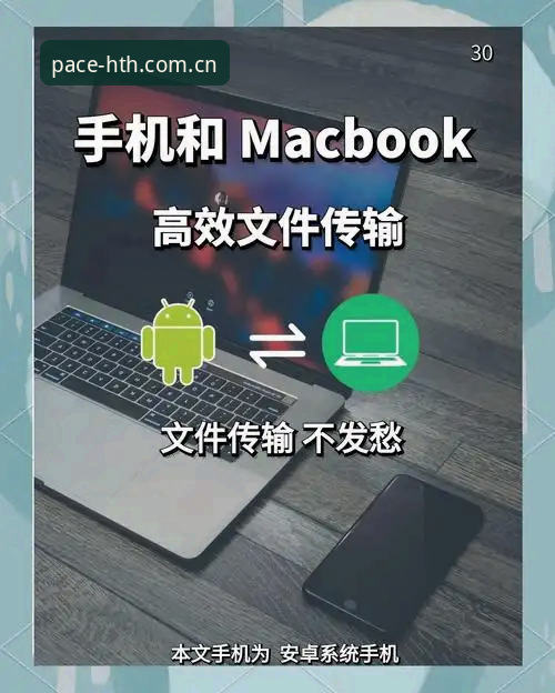 从手机到电脑：苹果与安卓端的HTH华体会官方完整使用指南